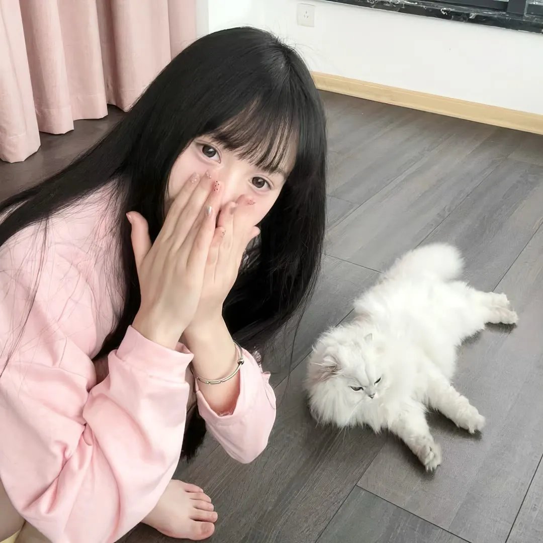 独眼查理